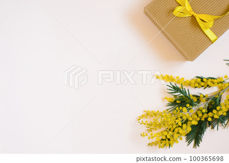 A brown gift box with a yellow bow and ribbon l and a mimosa branch on a white tree background with copy space 100365698