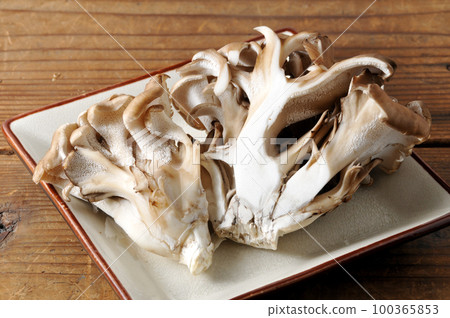 Maitake 100365853