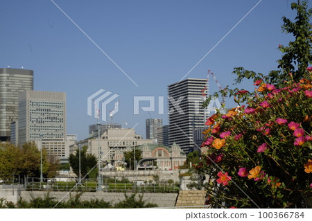 The flower bed of Nakanoshima Park in Osaka and the central public hall made of bricks The flower bed of Nakanoshima Park in Osaka and the central public hall made of bricks 100366784