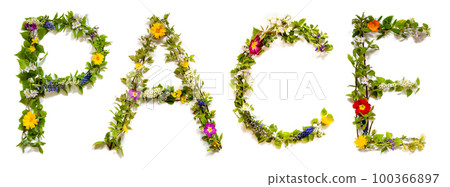 Blooming Flower Letters Building English Word Pace Blooming Flower Letters Building English Word Pace 100366897