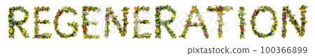 Blooming Flower Letters Building English Word Regeneration Blooming Flower Letters Building English Word Regeneration 100366899