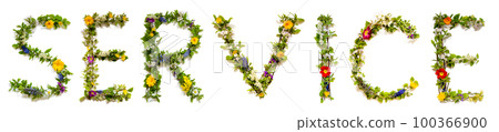 Blooming Flower Letters Building English Word Service Blooming Flower Letters Building English Word Service 100366900
