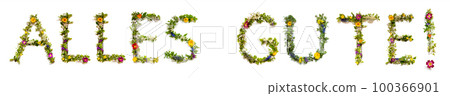 Blooming Flower Letters Building Word Alles Gute Means Best Wishes Blooming Flower Letters Building Word Alles Gute Means Best Wishes 100366901