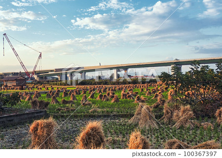京都府城陽市新名神高速公路施工現場 100367397