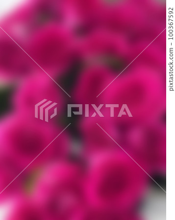 A defocused pink background of a large bouquet of roses. A defocused pink background of a large bouquet of roses. 100367592