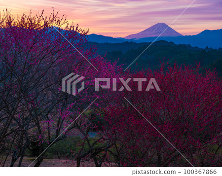 Morning glow and Mt. Fuji Morning glow and Mt. Fuji 100367866