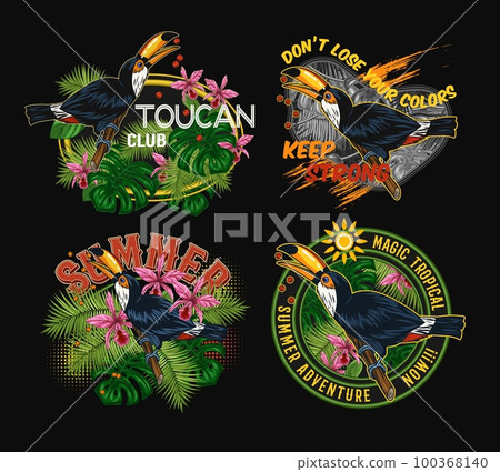Set of labels with toucan bird, tropical foliage, orchid, text on black background. Holiday summer theme. Detailed illustration for prints, clothing, t shirt design 100368140