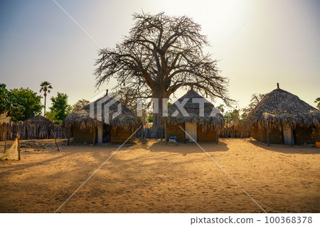 Traditional village houses with a boabab tree in the background, Senegal, Africa Traditional village houses with a boabab tree in the background, Senegal, Africa 100368378