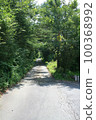 A straight road overgrown with vegetation 100368992