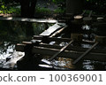 Ladle 2 lined up in the chozuya 100369001