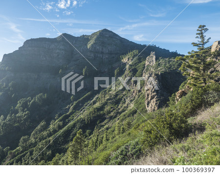 View of lush green landscape in central part of La Gomera island. National park Garajonay with volcanic rocks, laurel forest and pine trees. Canary Islands, Spain. Blue sky background 100369397