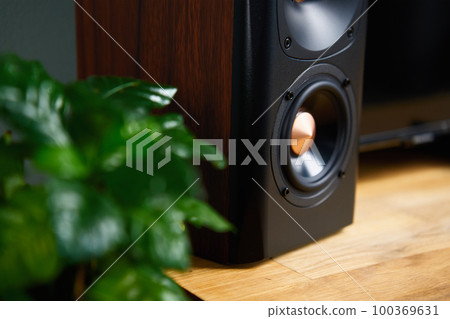 Sound speaker in living room interior. Set for listening music. Audio equipment 100369631