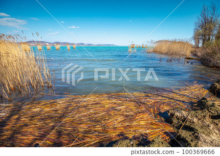 The shore of Lake Balaton on the Tihany peninsula. Hungary, Europe 100369666