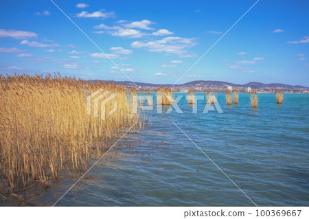 The shore of Lake Balaton on the Tihany peninsula. Hungary, Europe 100369667