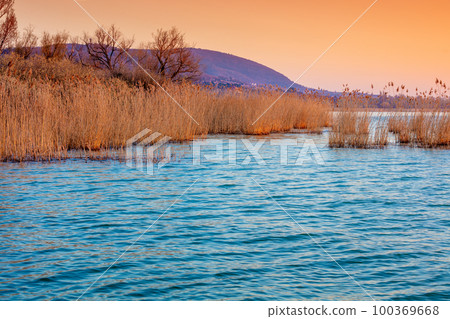 The shore of Lake Balaton on the Tihany peninsula. Hungary, Europe 100369668
