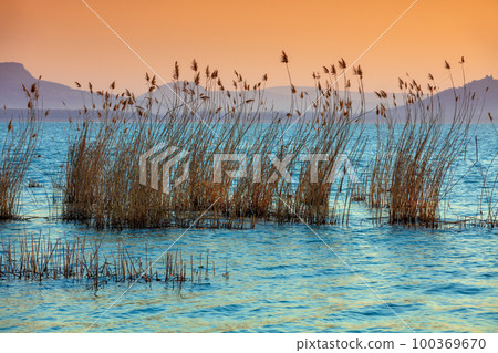 The shore of Lake Balaton on the Tihany peninsula. Hungary, Europe 100369670