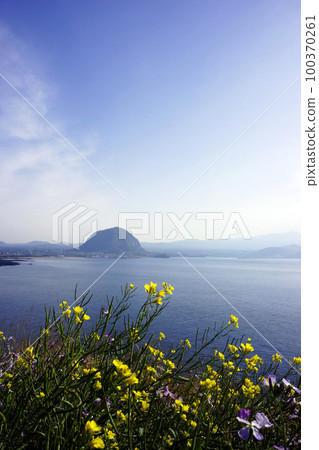 油菜花海 100370261