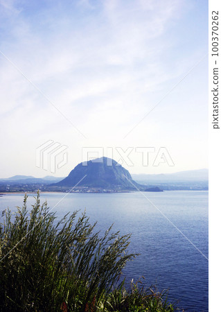 油菜花海 100370262