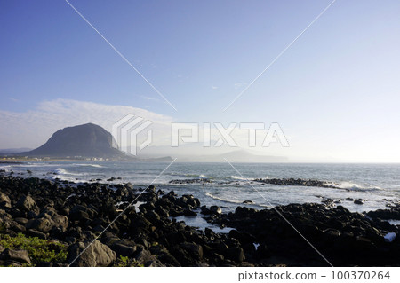 油菜花海 100370264