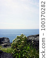 Sea 100370282
