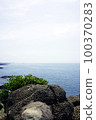 Sea 100370283