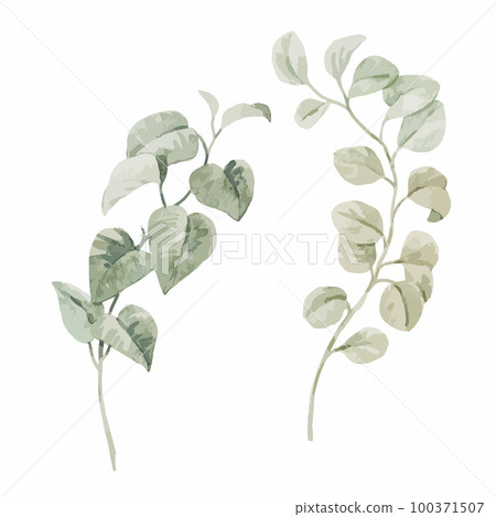 Beautiful autotraced vector clip art stock illustration with hand drawn watercolor colorful tropical palm leaves. Beautiful autotraced vector clip art stock illustration with hand drawn watercolor colorful tropical palm leaves. 100371507