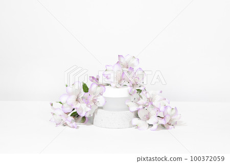 A mock up white jar of cream on a natural stone podium pedestal, on a white table, with plant, flowers, with hard shadows. Stylish look of the product, identity. 100372059