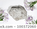 Concrete stone podium on a white gray background with hard shadows and plant, flowers. Minimal empty cosmetic product presentation scene. Geometric podium. Top view 100372060