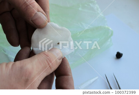 a person places a tiny seed on a wet cotton pad for subsequent germination in a closed micro environment, spring work on growing seedlings at home 100372399