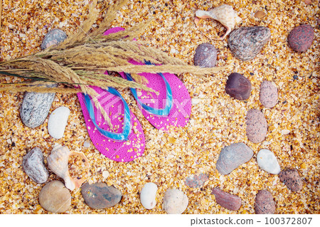 Beach scene. A pair of flip flop sandals lying on sea coquina shells on the beach. Vacation concept 100372807