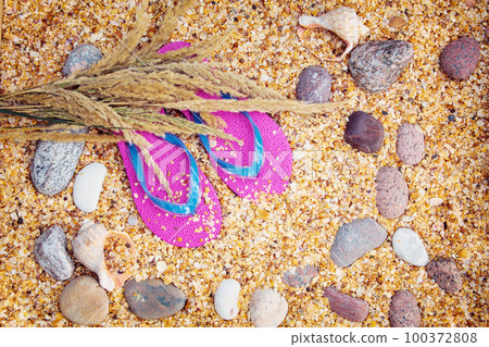 Beach scene. A pair of flip flop sandals lying on sea coquina shells on the beach. Vacation concept Beach scene. A pair of flip flop sandals lying on sea coquina shells on the beach. Vacation concept 100372808