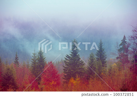 Mountain landscape in the early misty autumn morning 100372851