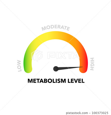 Color indicator of metabolism. Measuring gauge with low moderate and high 100373025