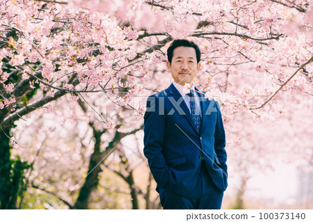 Cherry blossoms in full bloom and an old man in a suit Cherry blossoms in full bloom and an old man in a suit 100373140