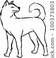 白狗 100373803