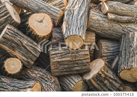 Heap of large sawn tree trunks logs forest background 100375418
