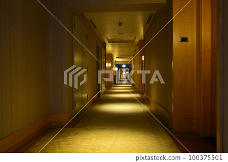 Luxury hotel corridor 100375501