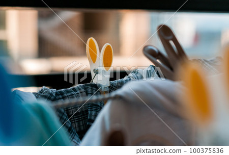 Laundry pins on ropes at home 100375836