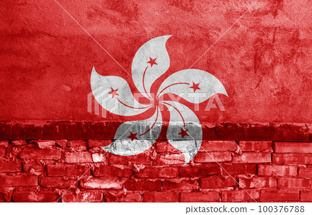 Flag painted on the brick wall 100376788