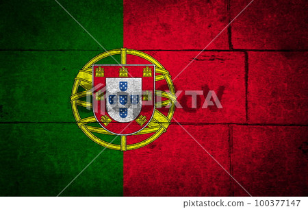 StopCov sign painted on flag 100377147