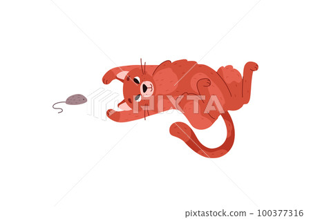 Cat plays with mouse flat vector illustration isolated on white background. 100377316