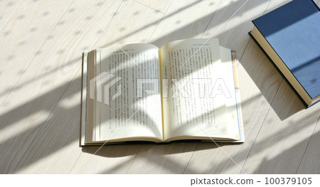 一本打開的書在陽光透過樹木的明亮房間裡 100379105