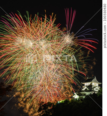 Inuyama Castle and Fireworks 100380480