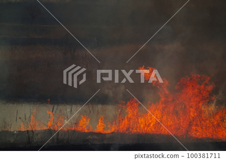 燃燒的火焰 100381711