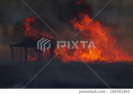 Wildfire 100381843
