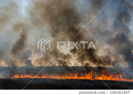 磷火 磷火 100381847