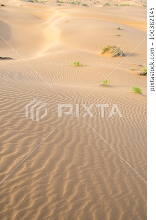 Sand dunes in the Kyzylkum desert Kazakhstan. The vast desert of Central Asia 100382145
