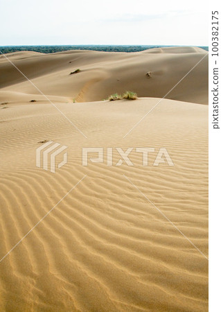Sand dunes in the Kyzylkum desert Kazakhstan. The vast desert of Central Asia 100382175