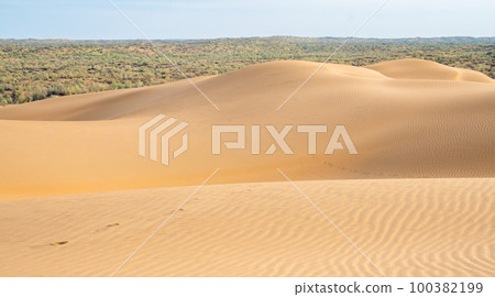 Sand dunes in the Kyzylkum desert Kazakhstan. The vast desert of Central Asia 100382199