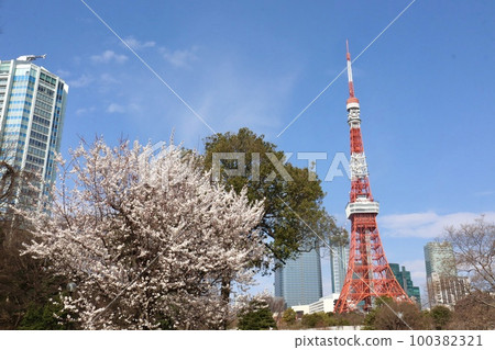 東京鐵塔和櫻花芝公園 100382321